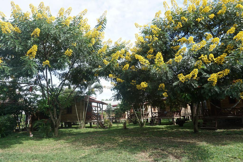 Hotel Family Hut Pai Exteriér fotografie